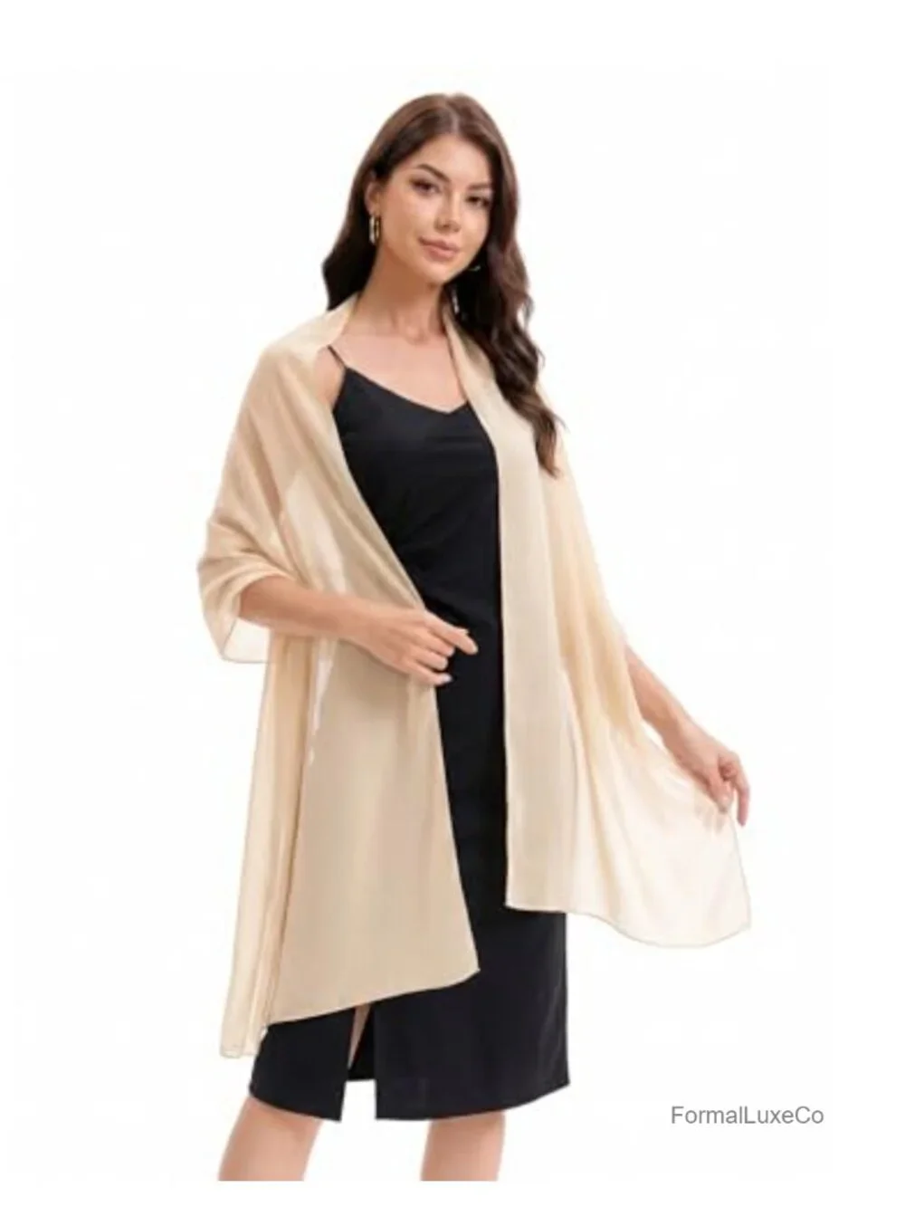 Chiffon Shawl Wrap for Evening Dress Wedding Bridal Scarf Pashmina